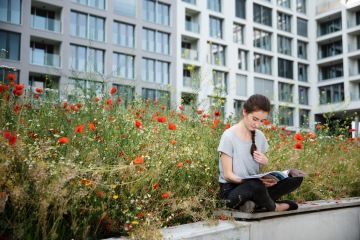 Nesečená louka v rezidenčním areálu Port Karolína v pražském Karlíně.