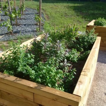 Komunitní záhonky v Parku Cihelka