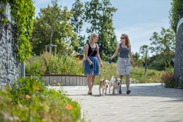 Městská zeleň v pražských Modřanech v rezidenčním areálu vil Elča a Emča z dílny Skanska Reality.